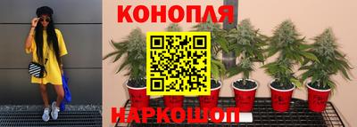 дживик Нальчик