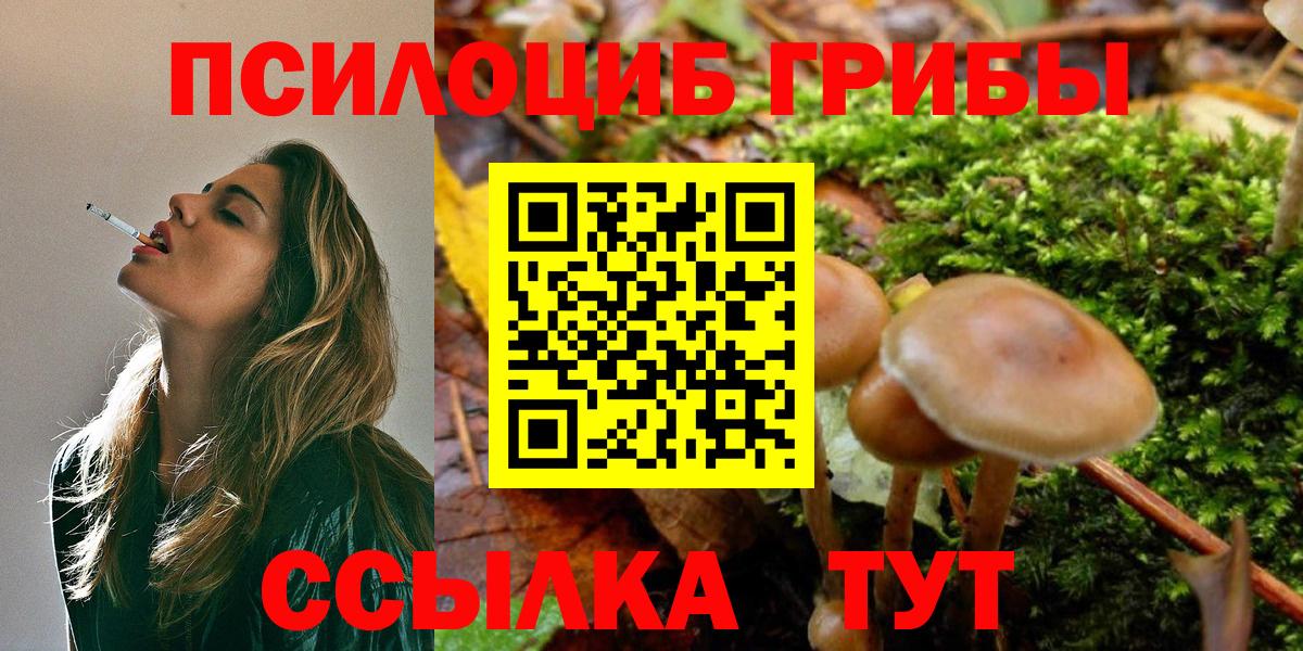 Псилоцибиновые грибы MAGIC MUSHROOMS Черногорск