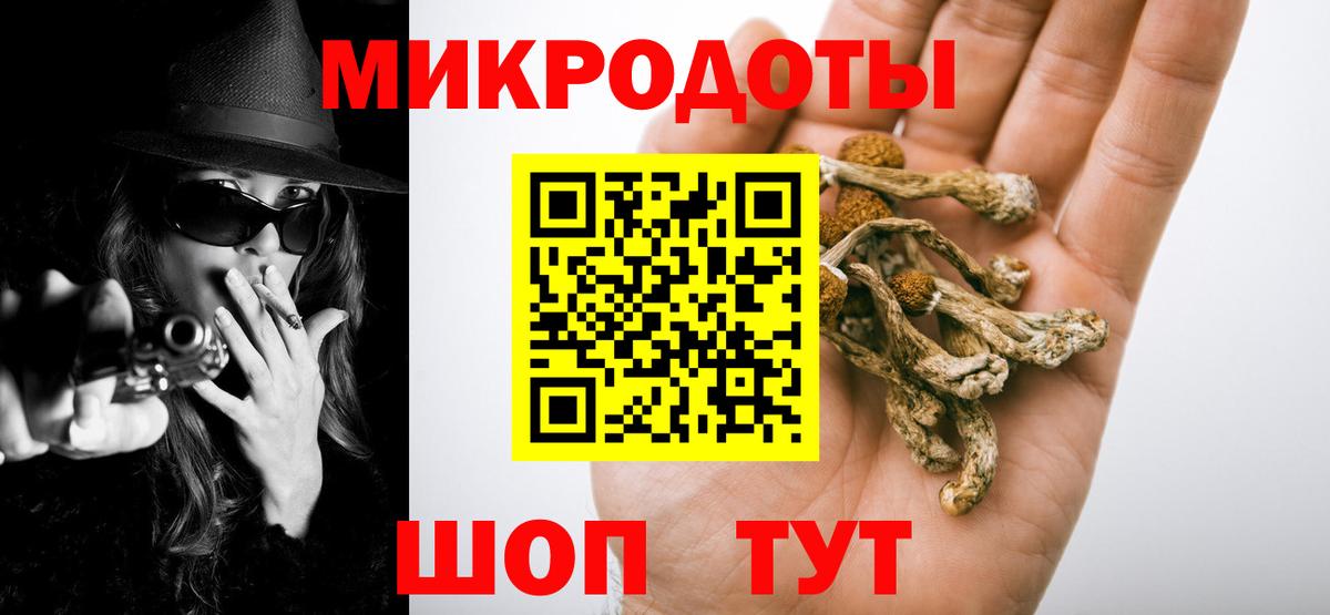 Черногорск  Псилоцибиновые грибы Psilocybine cubensis  сколько стоит  Вход с VPN 